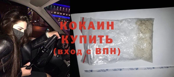 ГАЛЛЮЦИНОГЕННЫЕ ГРИБЫ Новозыбков