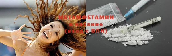 ГАЛЛЮЦИНОГЕННЫЕ ГРИБЫ Новозыбков