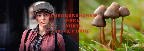 соль ск Новокубанск