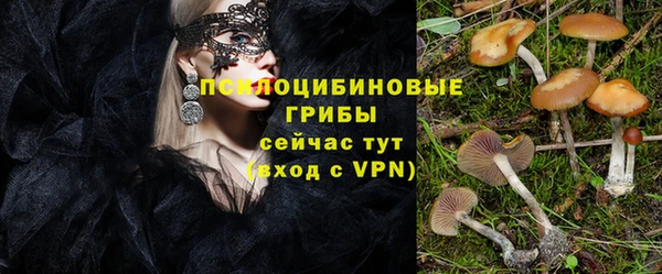 ГАЛЛЮЦИНОГЕННЫЕ ГРИБЫ Новозыбков
