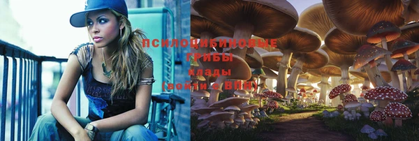 прущие крисы Новодвинск