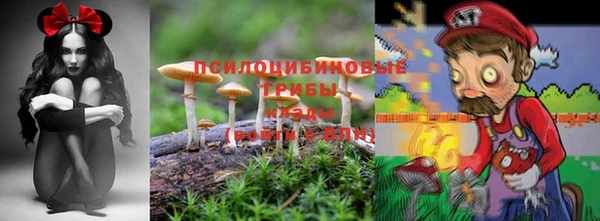соль ск Новокубанск