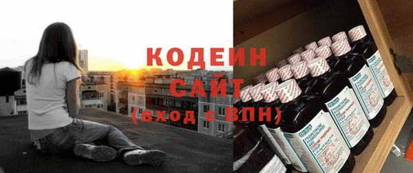 ГАЛЛЮЦИНОГЕННЫЕ ГРИБЫ Новозыбков