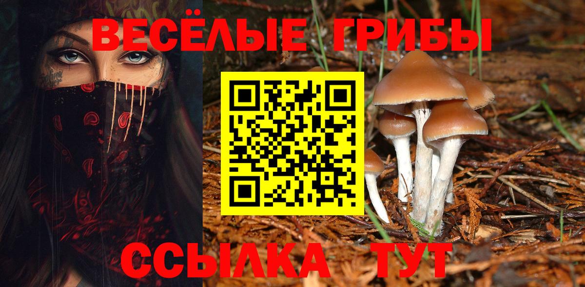 Менделеевск  Псилоцибиновые грибы Magic Shrooms  Вход с VPN  цены наркотик  Псилоцибиновые грибы мицелий 