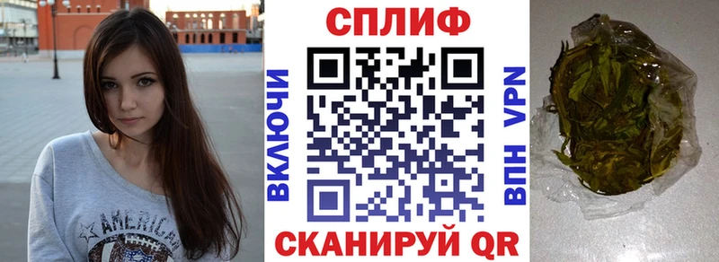 купить   Менделеевск  Каннабис ГИДРОПОН 